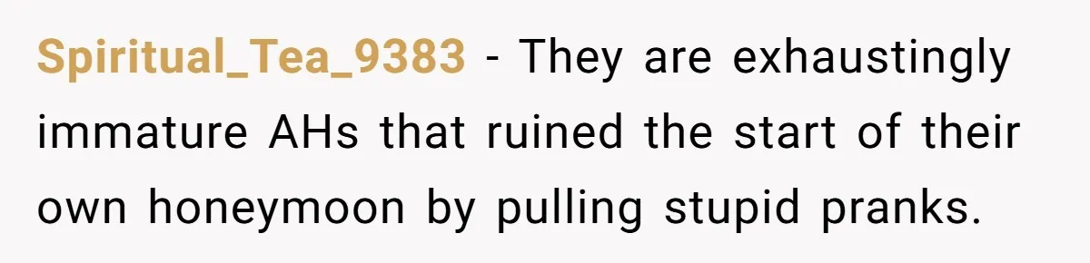 Brother Leaves Newlyweds Stranded On Honeymoon After Endless “Pranks” Cross The Line Spiritual_Tea_9383 − They are exhaustingly immature AHs that ruined the start of their own honeymoon by pulling stupid pranks.