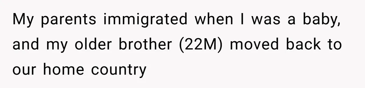 My parents immigrated when I was a baby, and my older brother (22M) moved back to our home country