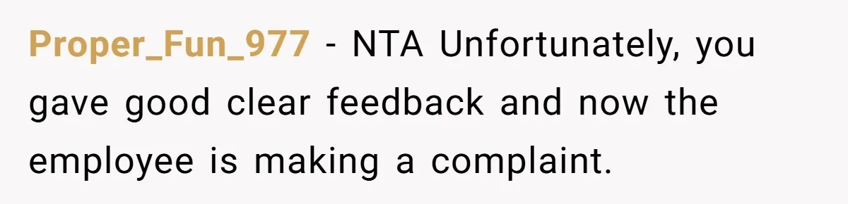 Proper_Fun_977 − NTA Unfortunately, you gave good clear feedback and now the employee is making a complaint.