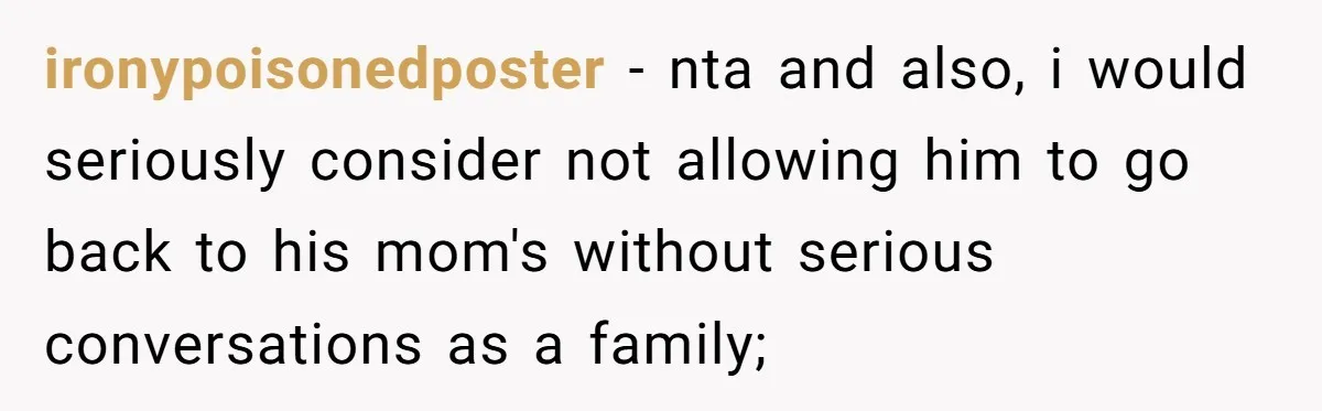 ironypoisonedposter − nta and also, i would seriously consider not allowing him to go back to his mom's without serious conversations as a family;