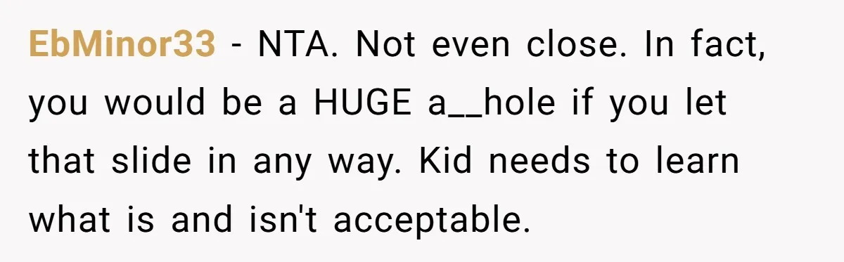 EbMinor33 − NTA. Not even close. In fact, you would be a HUGE a__hole if you let that slide in any way. Kid needs to learn what is and isn't...