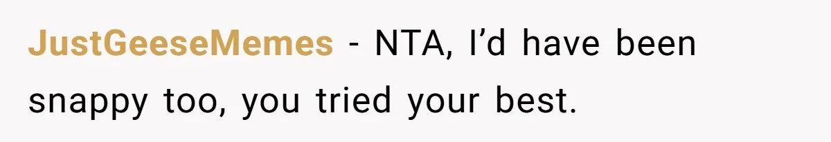Man Refuses To Help Fiancée’s Daughter After Being Told “She’s Not Yours” JustGeeseMemes − NTA, I’d have been snappy too, you tried your best.