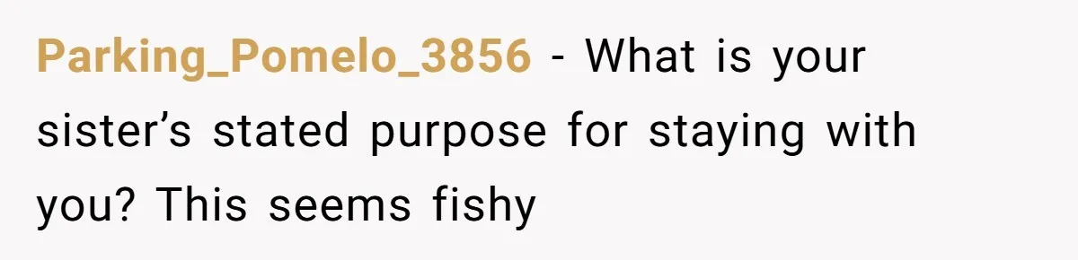 Parking_Pomelo_3856 − What is your sister’s stated purpose for staying with you? This seems fishy