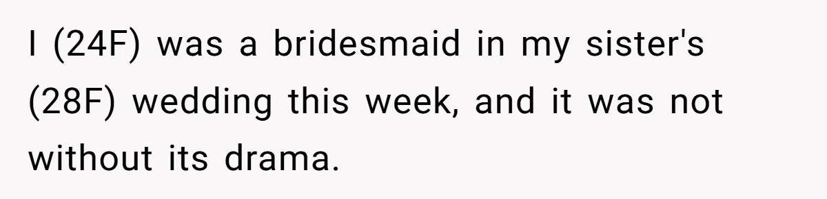 I (24F) was a bridesmaid in my sister's (28F) wedding this week, and it was not without its drama.
