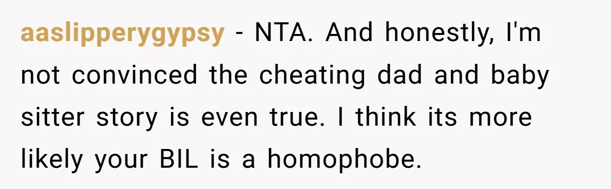 aaslipperygypsy − NTA. And honestly, I'm not convinced the cheating dad and baby sitter story is even true. I think its more likely your BIL is a homophobe.