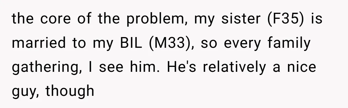 the core of the problem, my sister (F35) is married to my BIL (M33), so every family gathering, I see him. He's relatively a nice guy, though
