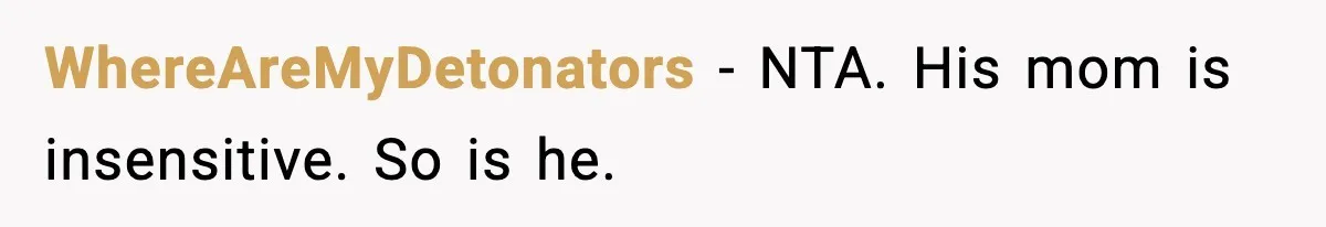 Woman Walks Out of Christmas Dinner After MIL Comments on Her Acne and Weight WhereAreMyDetonators - NTA. His mom is insensitive. So is he.