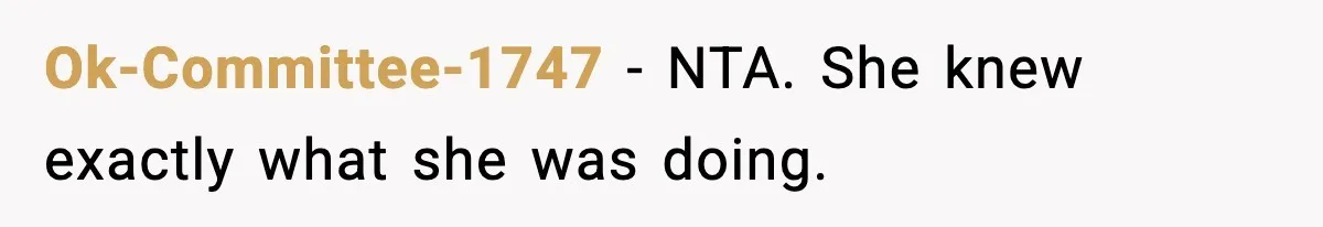 Woman Walks Out of Christmas Dinner After MIL Comments on Her Acne and Weight Ok-Committee-1747 - NTA. She knew exactly what she was doing.