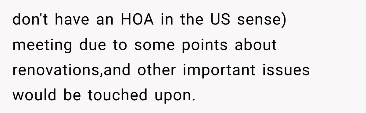 A Community Meeting Turns into a Giggle Fit Over “Gang Activity” Claims don't have an HOA in the US sense) meeting due to some points about renovations,and other important issues would be touched upon.