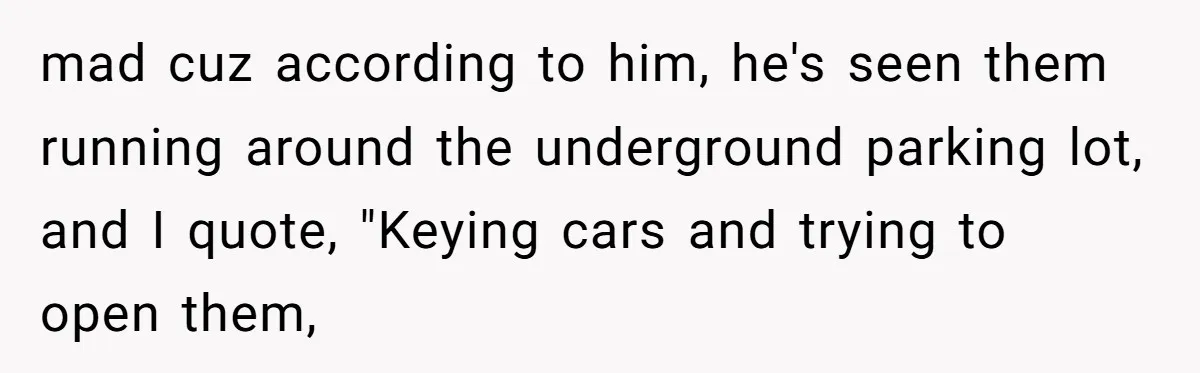 A Community Meeting Turns into a Giggle Fit Over “Gang Activity” Claims mad cuz according to him, he's seen them running around the underground parking lot, and I quote, "Keying cars and trying to open them,