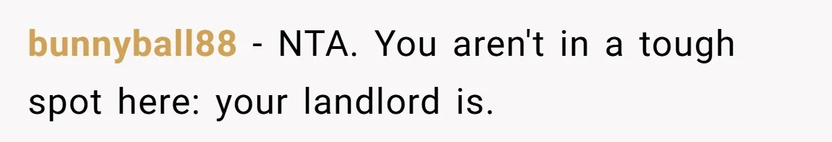 Air Raid Sirens at 10 PM: A Redditor Reaches Her Limit with Constant Apartment Screaming bunnyball88 − NTA. You aren't in a tough spot here: your landlord is.