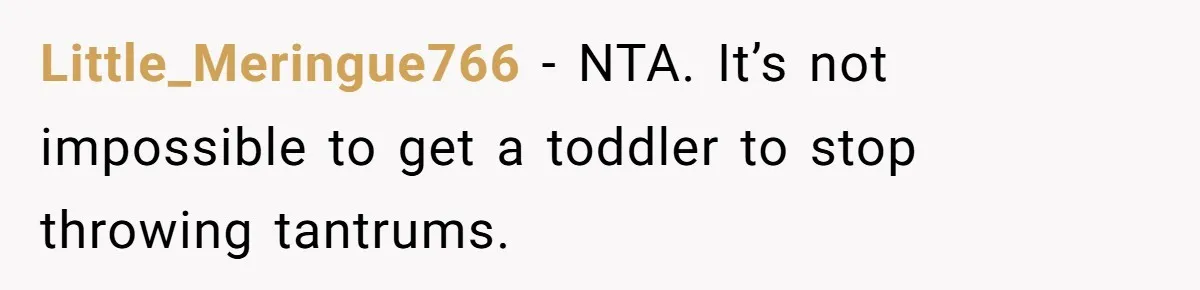 Air Raid Sirens at 10 PM: A Redditor Reaches Her Limit with Constant Apartment Screaming Little_Meringue766 − NTA. It’s not impossible to get a toddler to stop throwing tantrums.