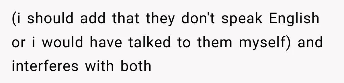 Air Raid Sirens at 10 PM: A Redditor Reaches Her Limit with Constant Apartment Screaming (i should add that they don't speak English or i would have talked to them myself) and interferes with both