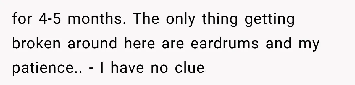 Air Raid Sirens at 10 PM: A Redditor Reaches Her Limit with Constant Apartment Screaming for 4-5 months. The only thing getting broken around here are eardrums and my patience.. - I have no clue