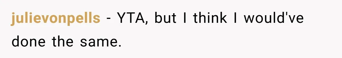 julievonpells - YTA, but I think I would've done the same.