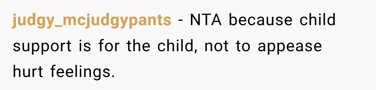 judgy_mcjudgypants − NTA because child support is for the child, not to appease hurt feelings.
