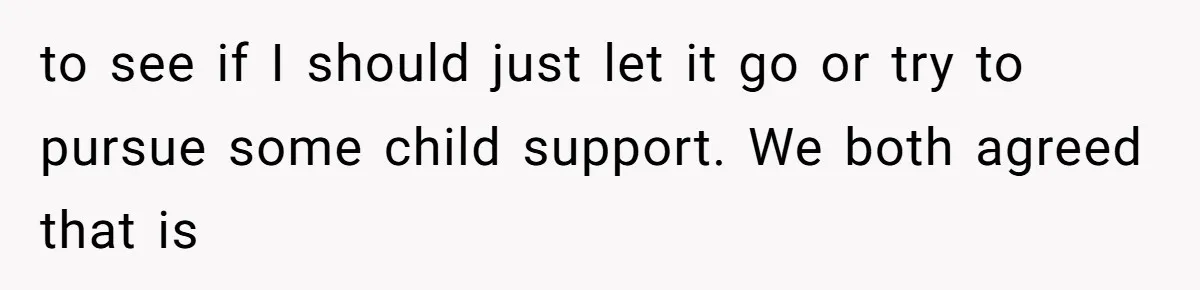 to see if I should just let it go or try to pursue some child support. We both agreed that is