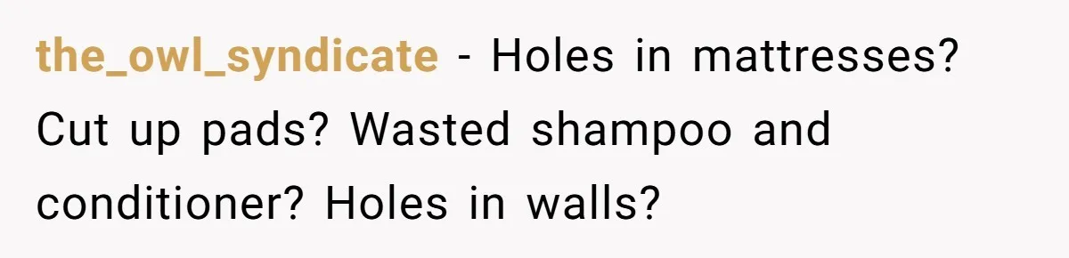 Woman Can’t Believe Her Boyfriend Shrugs Off His Kid Destroying Childhood Photos the_owl_syndicate − Holes in mattresses? Cut up pads? Wasted shampoo and conditioner? Holes in walls?