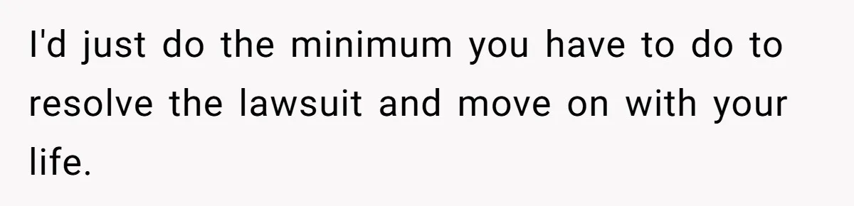 I'd just do the minimum you have to do to resolve the lawsuit and move on with your life.