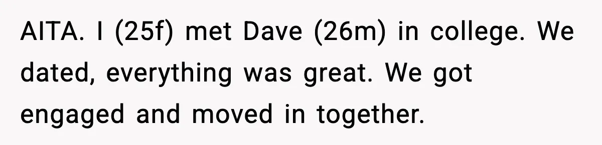 AITA. I (25f) met Dave (26m) in college. We dated, everything was great. We got engaged and moved in together.