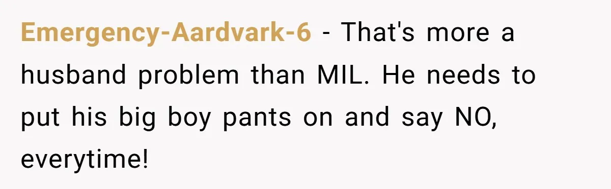 This Wife Finally Told Her Mother-in-Law to Stop Demanding Her Husband’s Attention Emergency-Aardvark-6 − That's more a husband problem than MIL. He needs to put his big boy pants on and say NO, everytime!