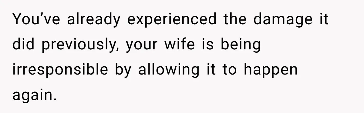 You’ve already experienced the damage it did previously, your wife is being irresponsible by allowing it to happen again.
