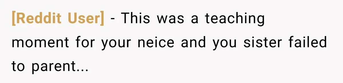 [Reddit User] − This was a teaching moment for your neice and you sister failed to parent...