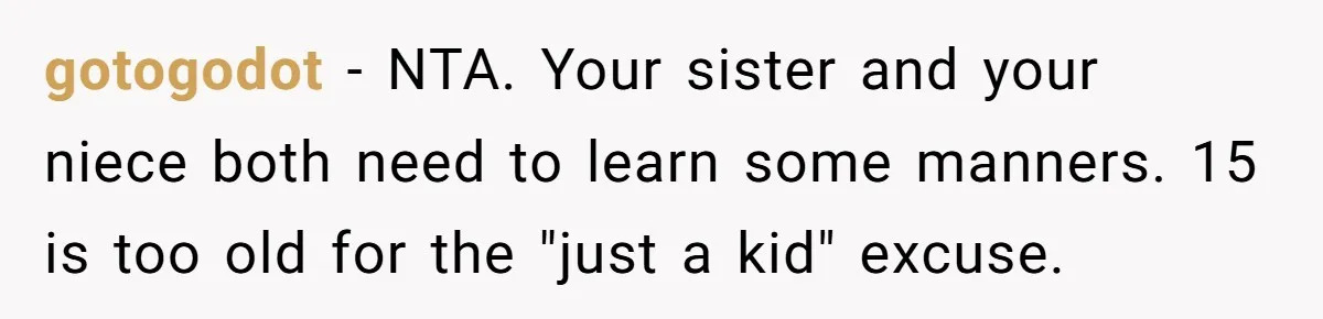 gotogodot − NTA. Your sister and your niece both need to learn some manners. 15 is too old for the "just a kid" excuse.