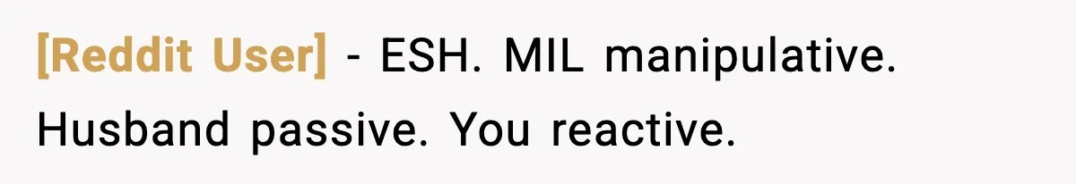 [Reddit User] - ESH. MIL manipulative. Husband passive. You reactive.