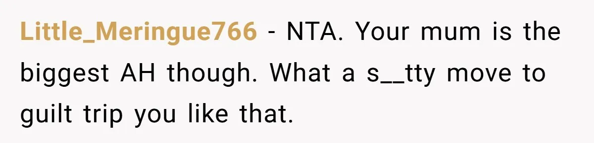 Little_Meringue766 − NTA. Your mum is the biggest AH though. What a s__tty move to guilt trip you like that.