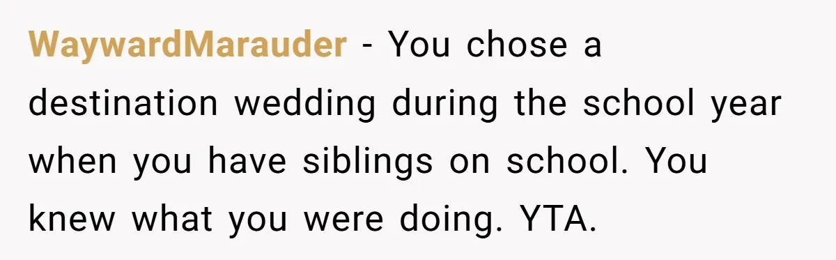 WaywardMarauder − You chose a destination wedding during the school year when you have siblings on school. You knew what you were doing. YTA.