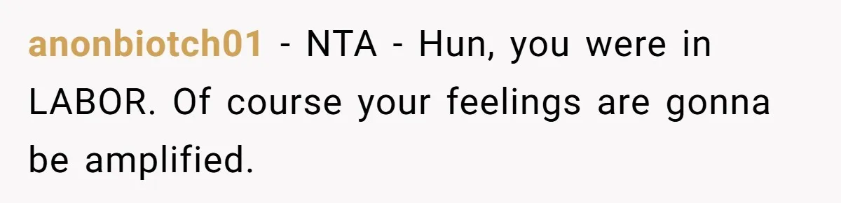 anonbiotch01 − NTA - Hun, you were in LABOR. Of course your feelings are gonna be amplified.