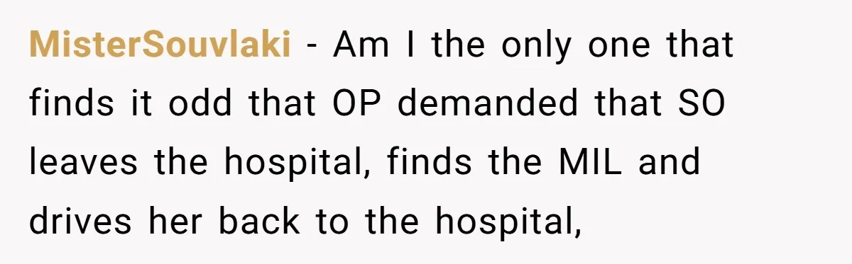 MisterSouvlaki − Am I the only one that finds it odd that OP demanded that SO leaves the hospital, finds the MIL and drives her back to the hospital,