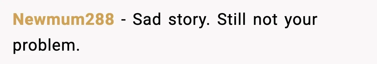 Ex Tries to Force His Affair Child on His Ex, She Refuses to Babysit Newmum288 - Sad story. Still not your problem.