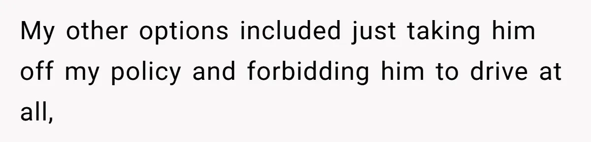 My other options included just taking him off my policy and forbidding him to drive at all,