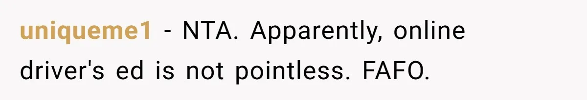 uniqueme1 − NTA. Apparently, online driver's ed is not pointless. FAFO.