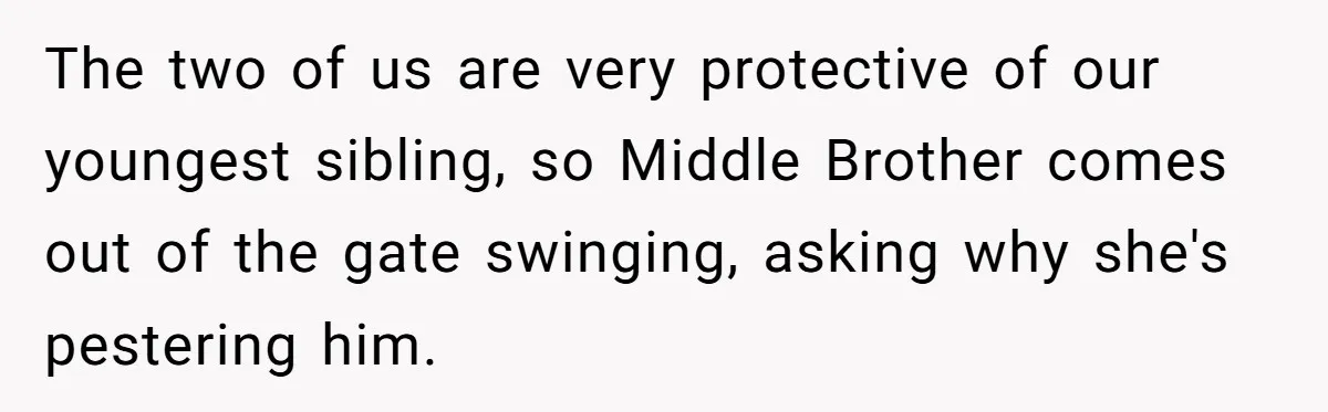 The two of us are very protective of our youngest sibling, so Middle Brother comes out of the gate swinging, asking why she's pestering him.
