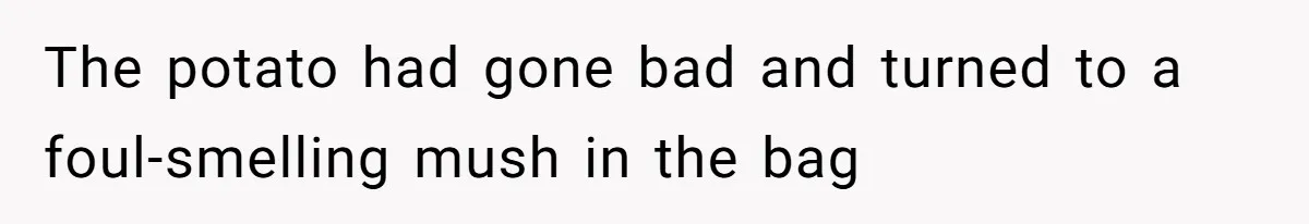 Control Freak Mom Hides Tracker In Daughter's Bag, Then Gets Rotten Potato Revenge Mailed Back The potato had gone bad and turned to a foul-smelling mush in the bag