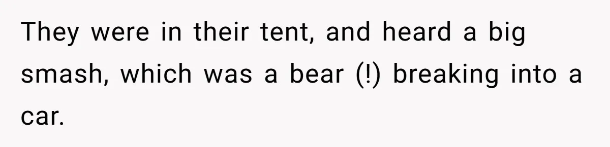 Control Freak Mom Hides Tracker In Daughter's Bag, Then Gets Rotten Potato Revenge Mailed Back They were in their tent, and heard a big smash, which was a bear (!) breaking into a car.