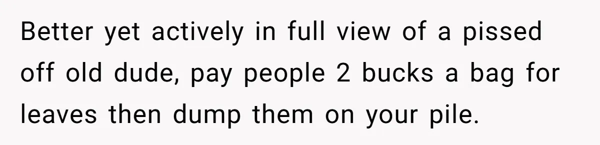 Better yet actively in full view of a pissed off old dude, pay people 2 bucks a bag for leaves then dump them on your pile.