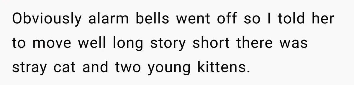Obviously alarm bells went off so I told her to move well long story short there was stray cat and two young kittens.