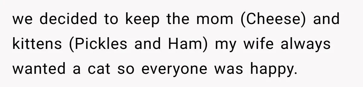 we decided to keep the mom (Cheese) and kittens (Pickles and Ham) my wife always wanted a cat so everyone was happy.