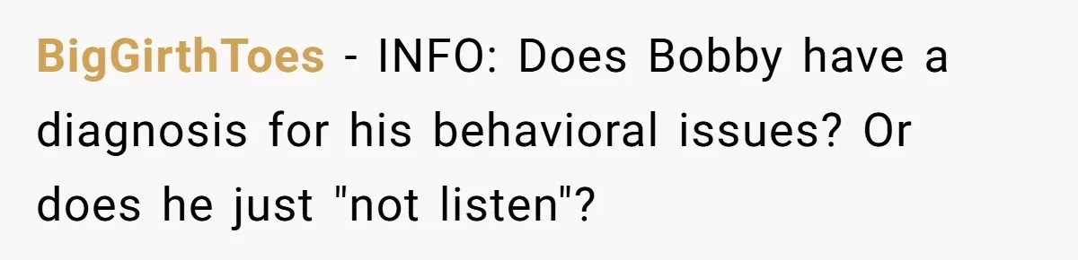 BigGirthToes − INFO: Does Bobby have a diagnosis for his behavioral issues? Or does he just "not listen"?