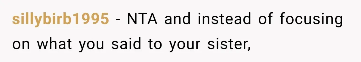 sillybirb1995 − NTA and instead of focusing on what you said to your sister,