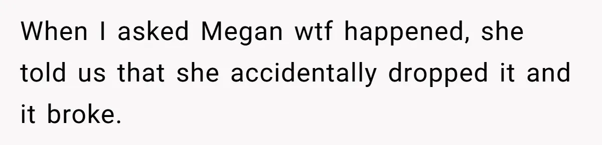 When I asked Megan wtf happened, she told us that she accidentally dropped it and it broke.