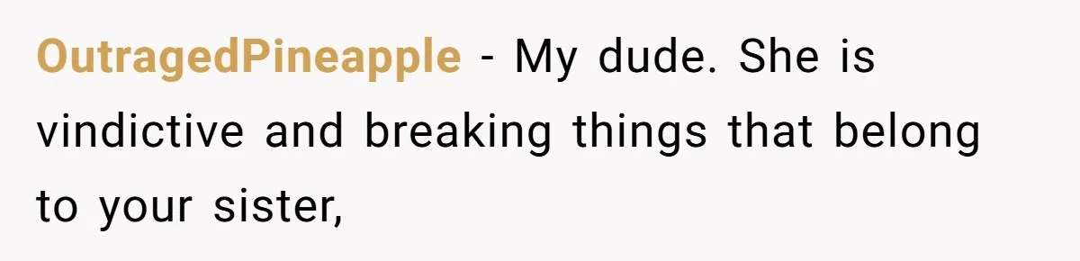 OutragedPineapple − My dude. She is vindictive and breaking things that belong to your sister,