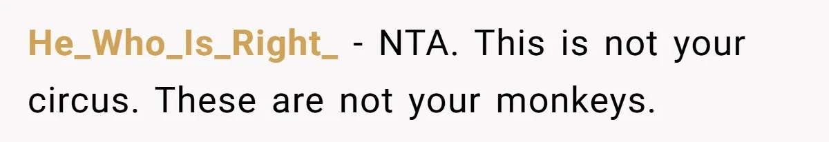 He_Who_Is_Right_ − NTA. This is not your circus. These are not your monkeys.