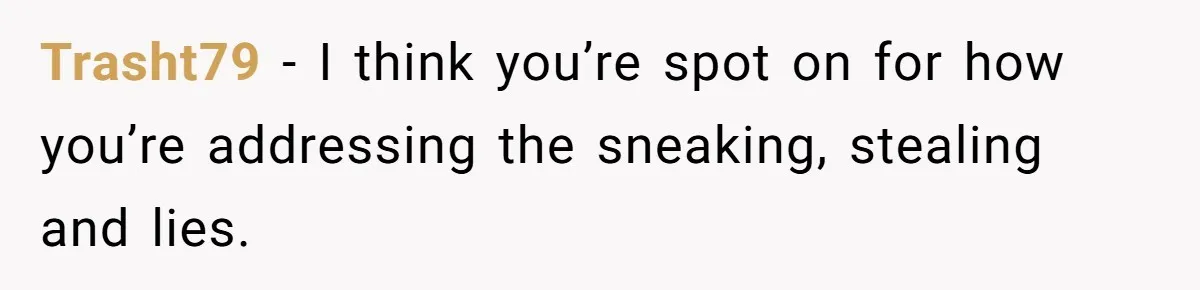 Trasht79 − I think you’re spot on for how you’re addressing the sneaking, stealing and lies.