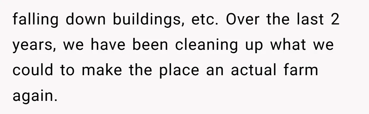 falling down buildings, etc. Over the last 2 years, we have been cleaning up what we could to make the place an actual farm again.