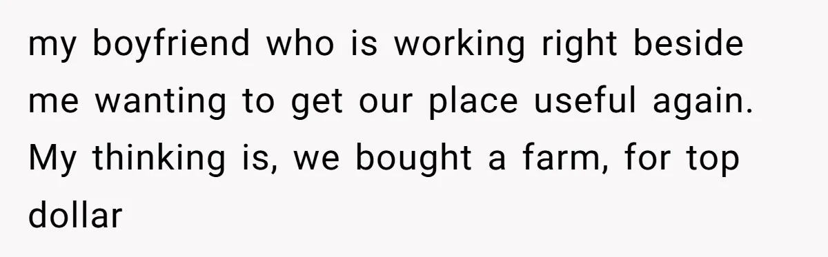 my boyfriend who is working right beside me wanting to get our place useful again. My thinking is, we bought a farm, for top dollar